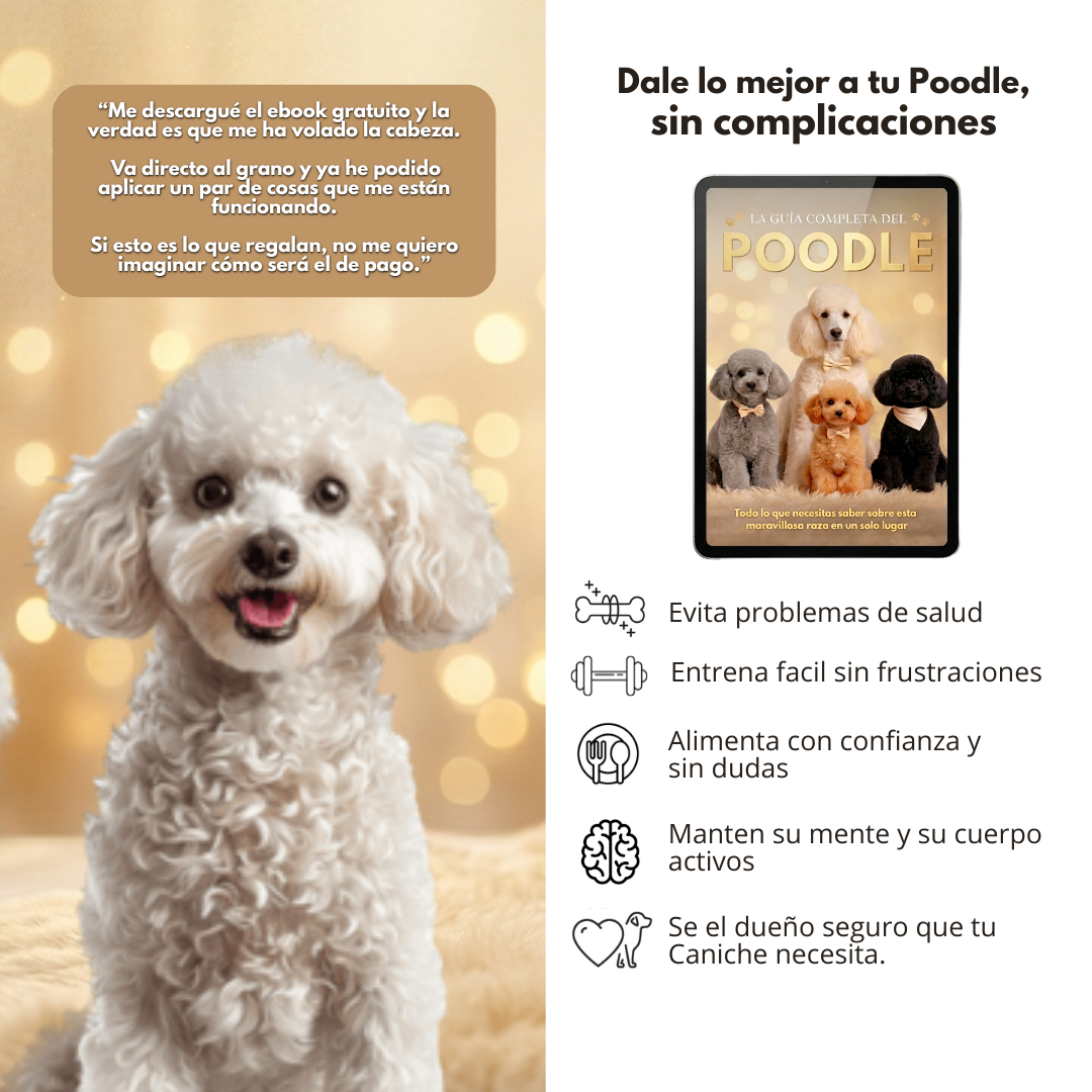 La Guía Completa del Caniche + Regalos