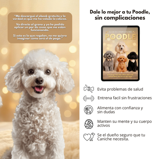 La Guía Completa del Caniche + Regalos